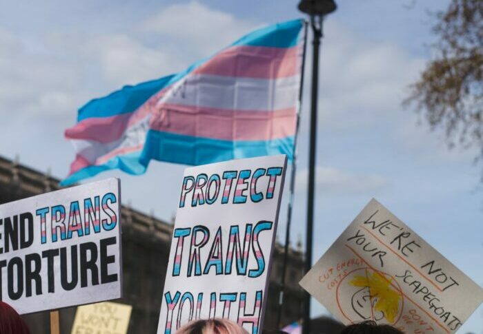Trans flag at Pride protest