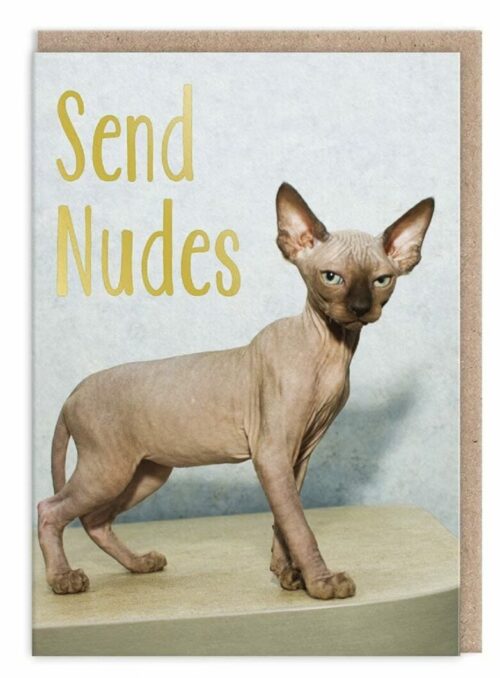 send nudes cat card oliver bonas student discount
