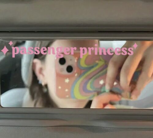 passenger princess sticker