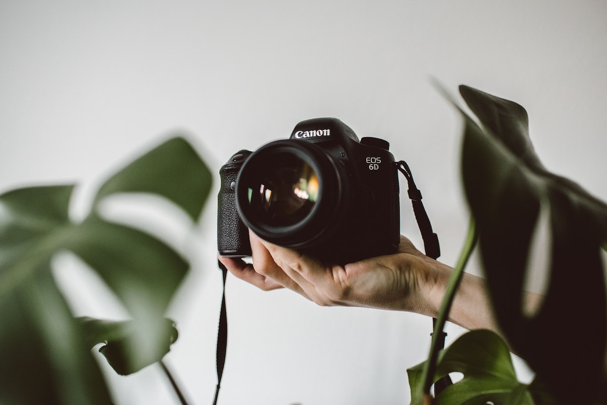 12 Good Reasons To Pursue Photography As A Hobby