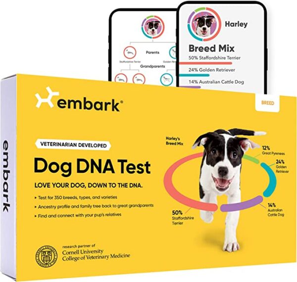 Embark