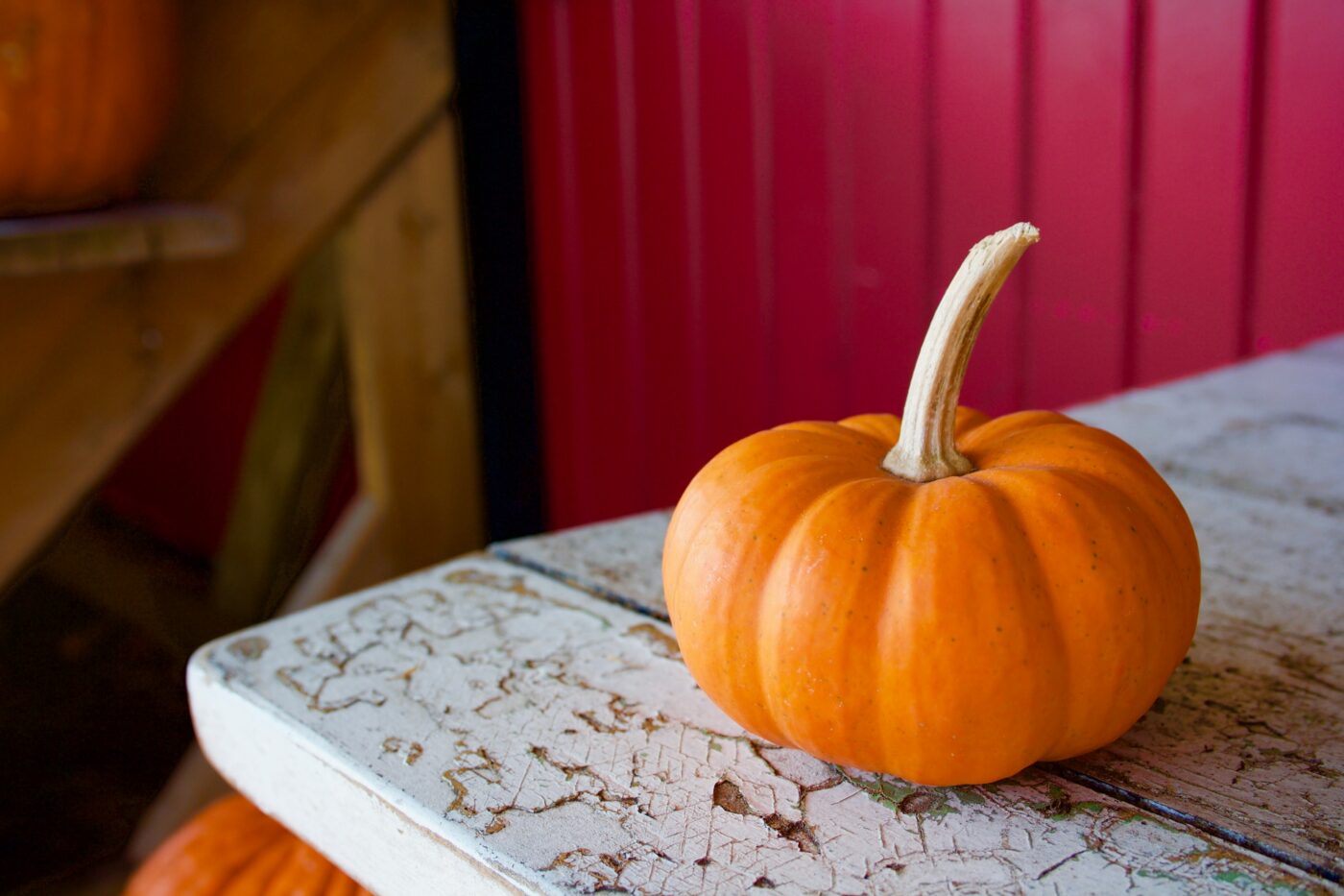 Where to Start Shopping if You're Already Excited for Fall