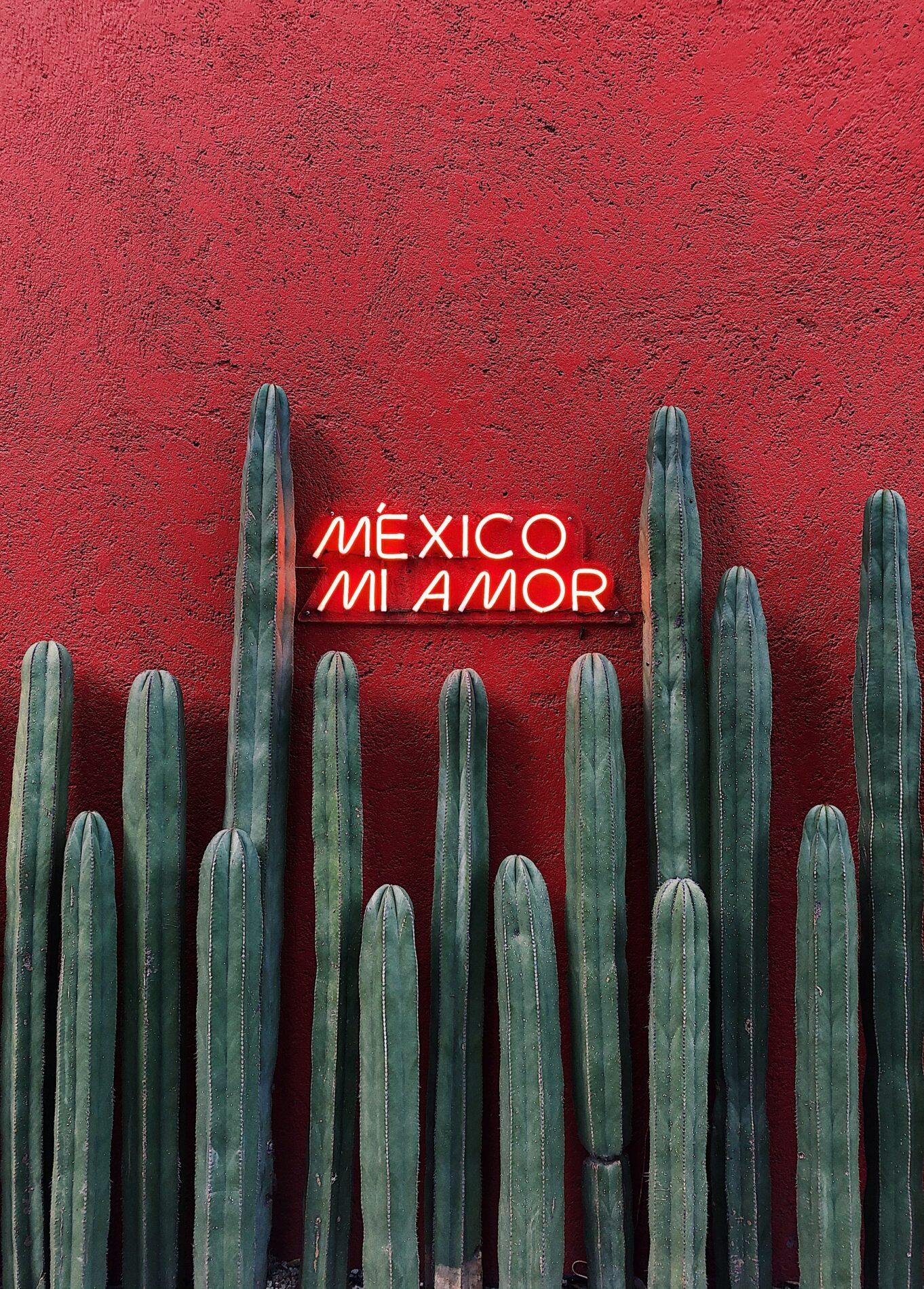 Get A Free Vacation To Mexico Worth $15,000 For You & A Friend