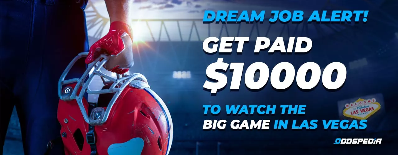 Get Paid $10K To Watch The Super Bowl