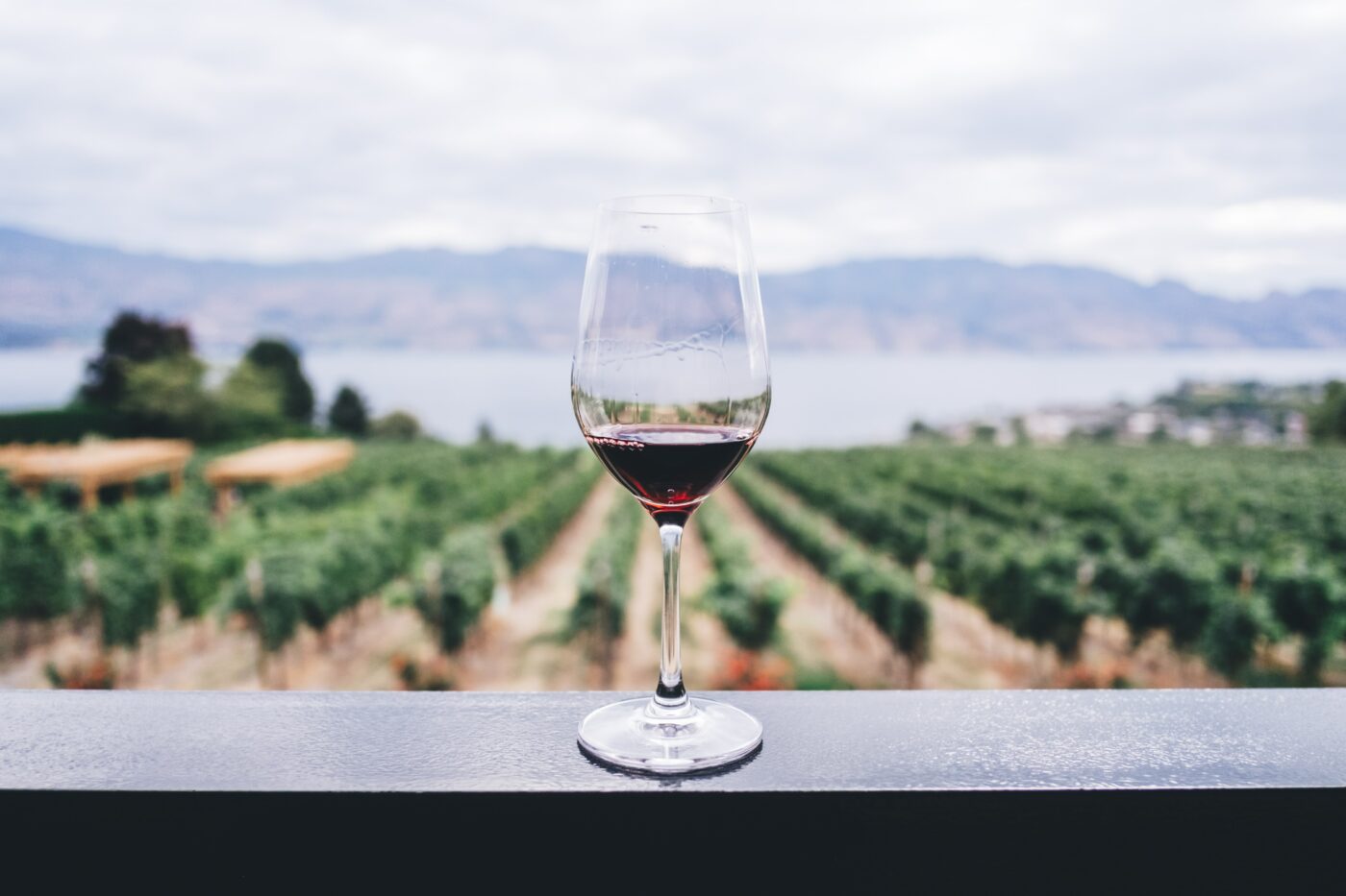 Get Paid to Travel & Drink Wine