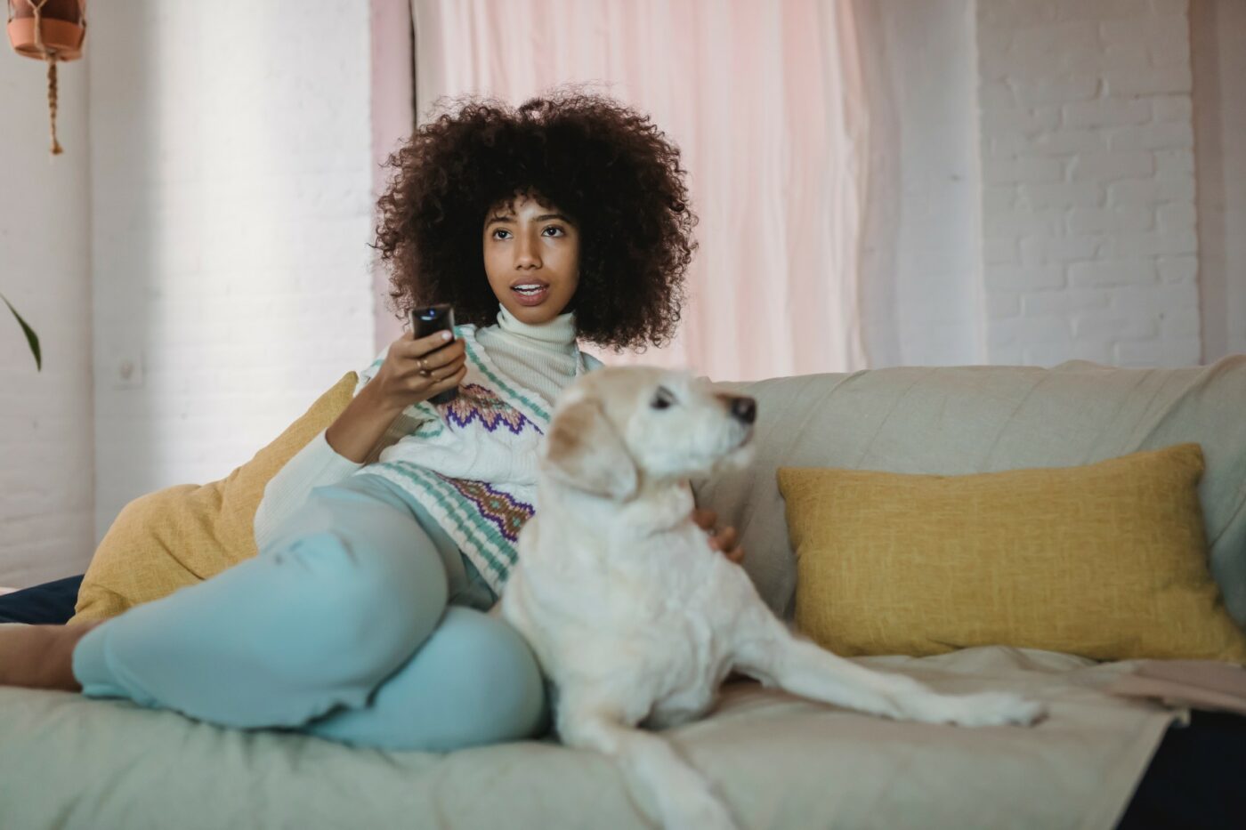 Get Paid $1,000 To Watch Dog Movies