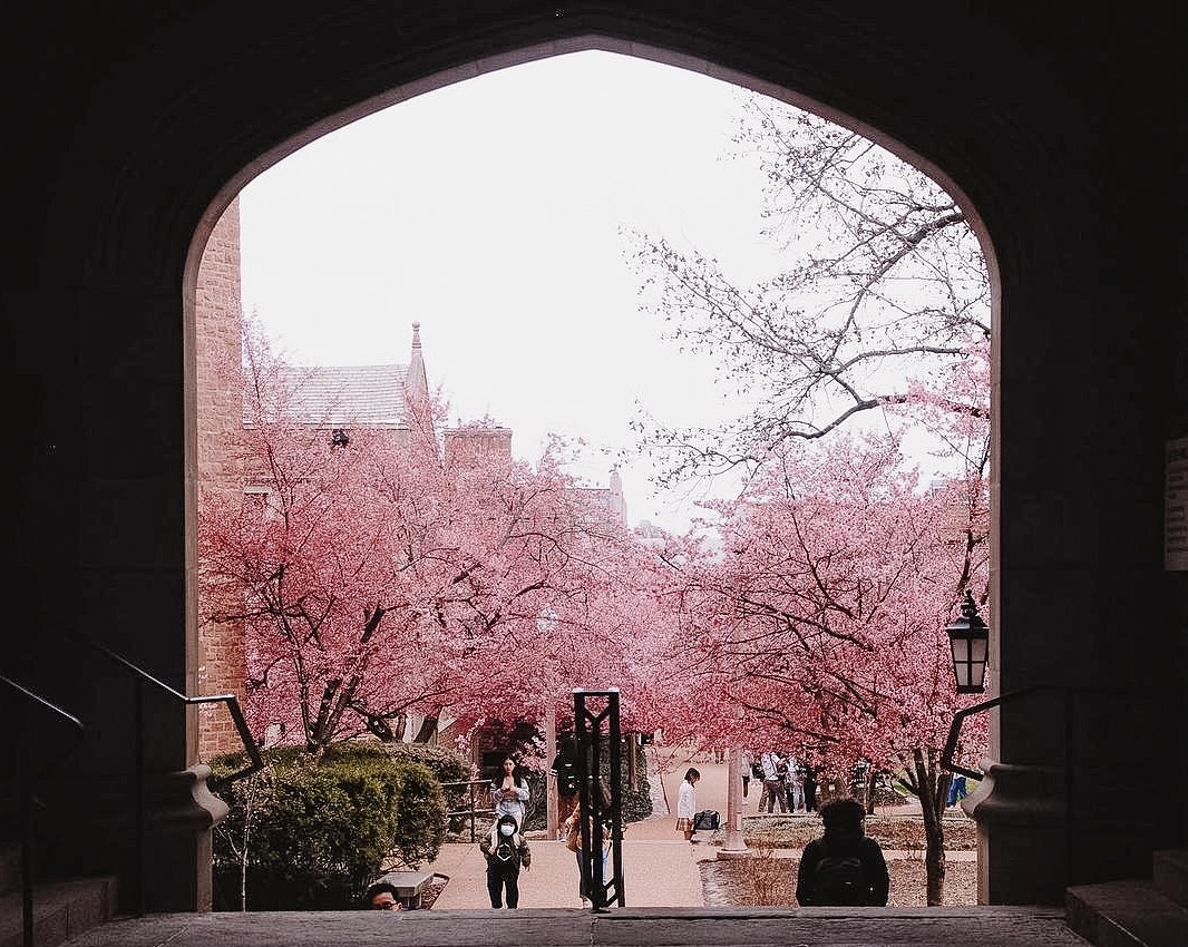 How To Pick The Right College For You