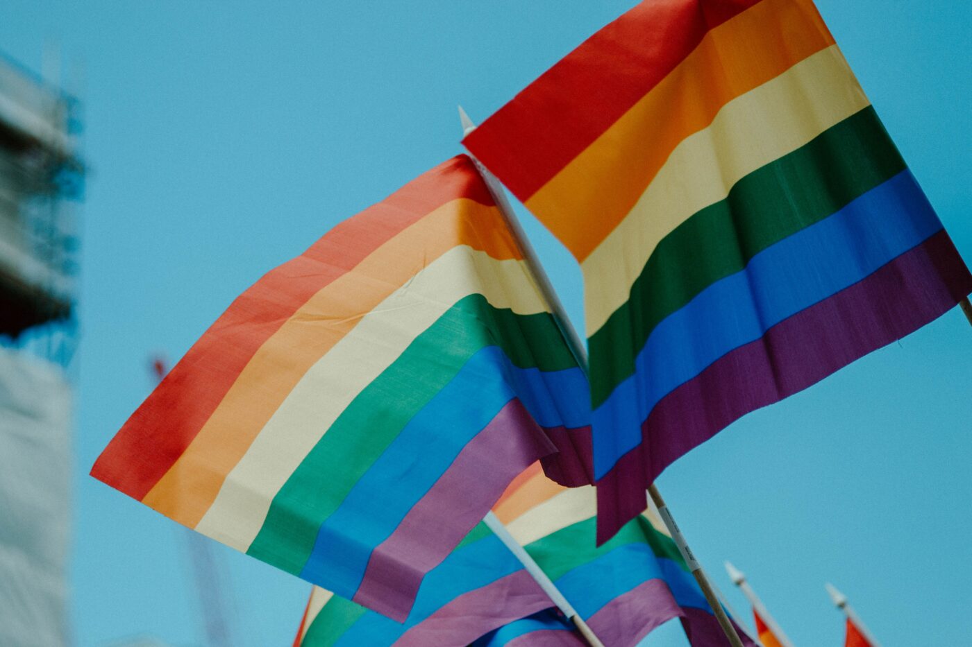 Every LGBTQ+ Flag You Might See At Pride & What They All Mean