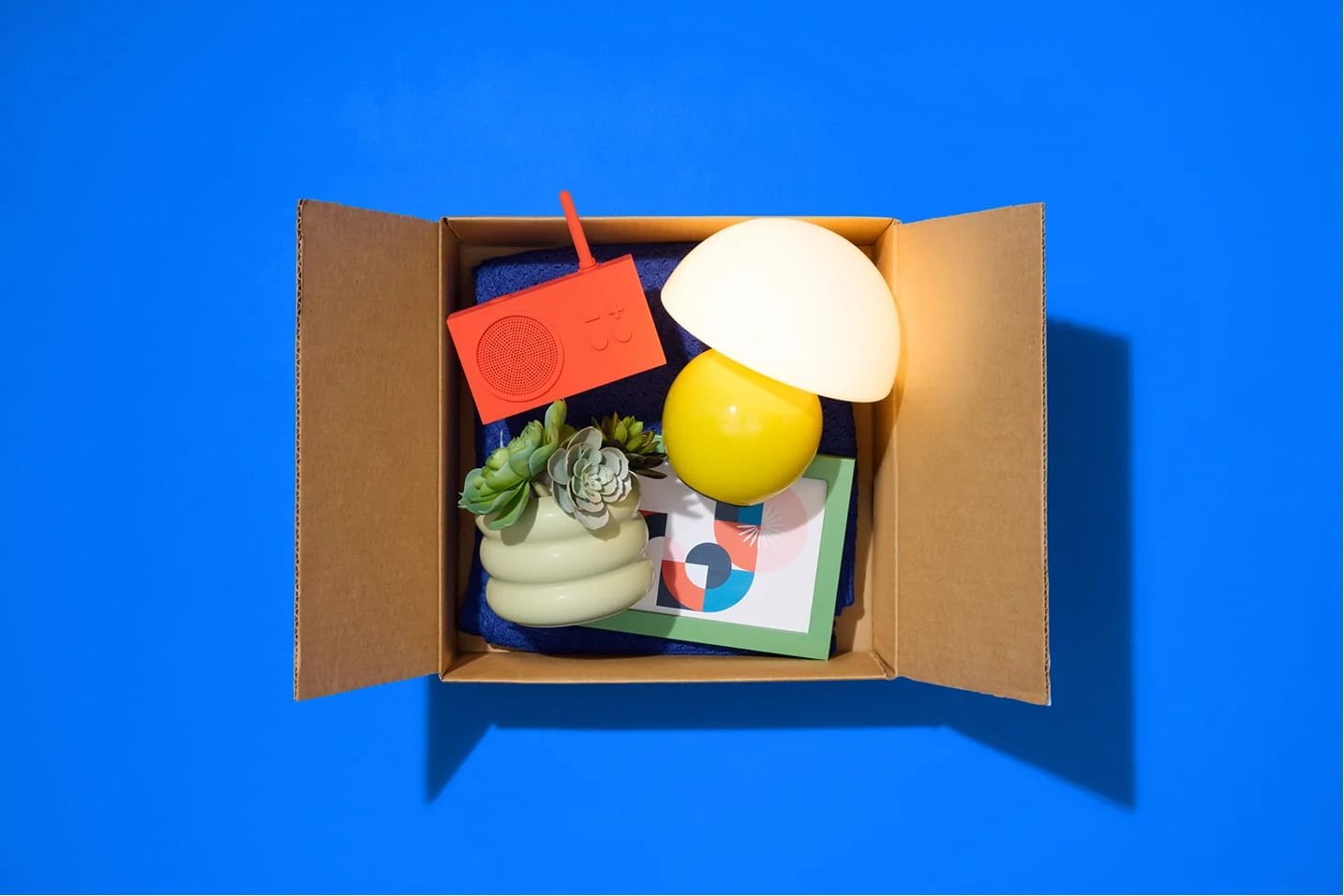 Student Beans' Amazon Storefront: Uni Essentials Sorted