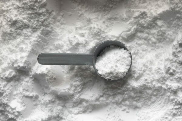 Your Guide to Finding the Perfect Protein Powder