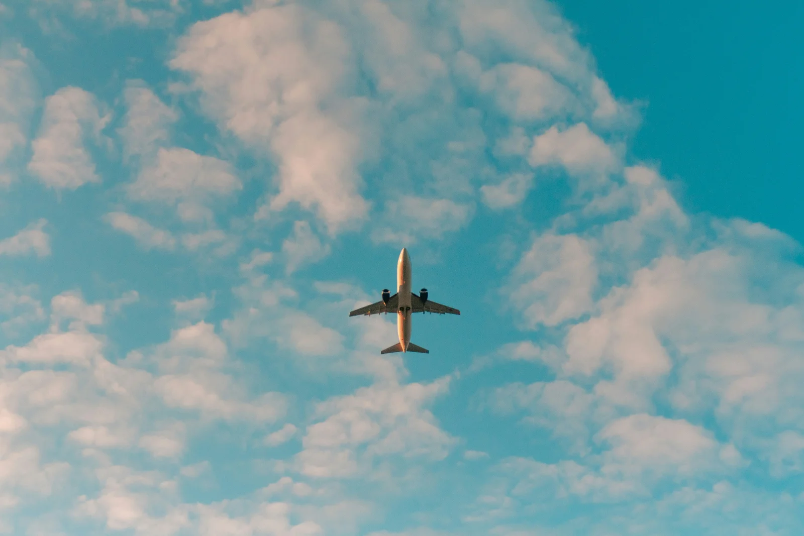 The Best Travel Discounts 2026