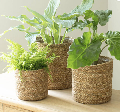 seagrass planters sustainable gifts for her