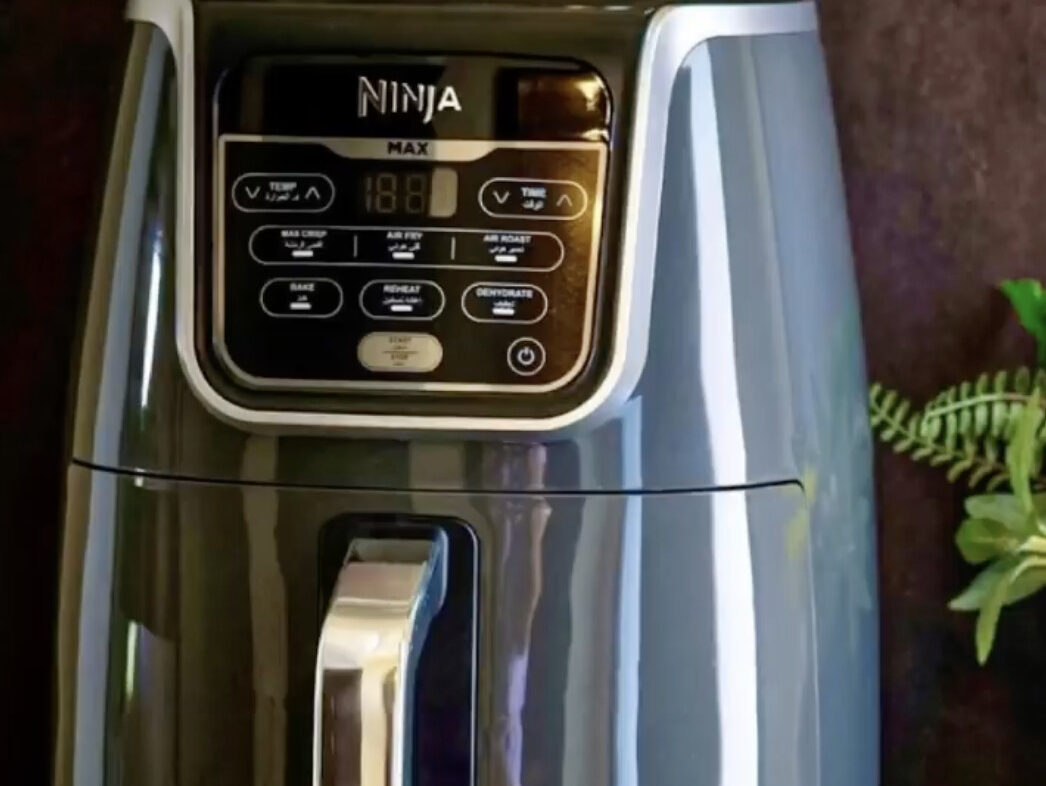 We Rated The Wildest Air Fryer TikTok Recipes