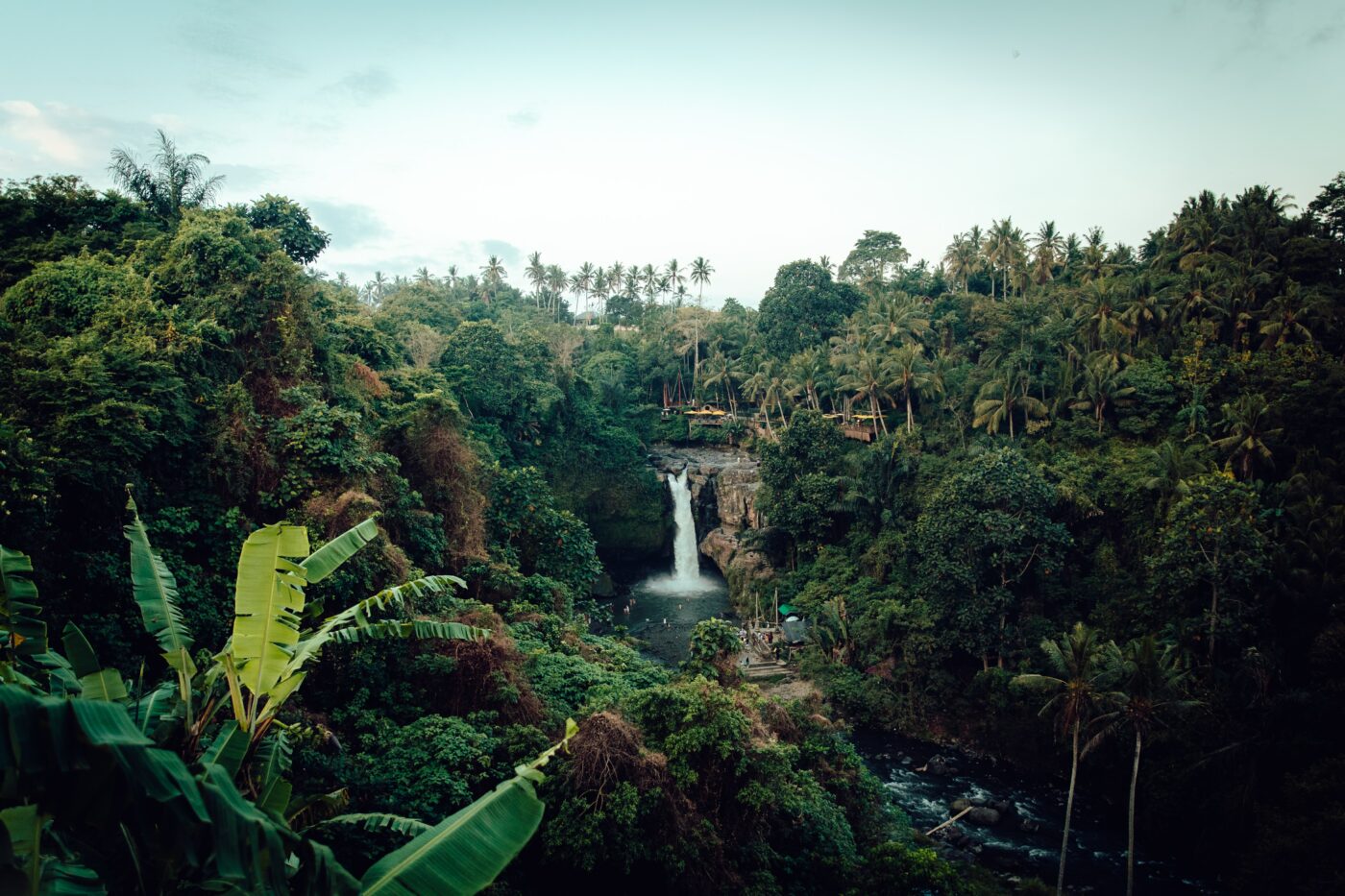 You Can Win $25,000 & A Vacation To The Amazon Rainforest